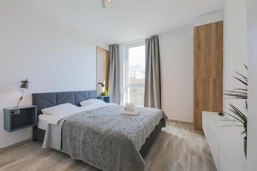 טימישוארה Luxury Apt. Near River & Parking מראה חיצוני תמונה