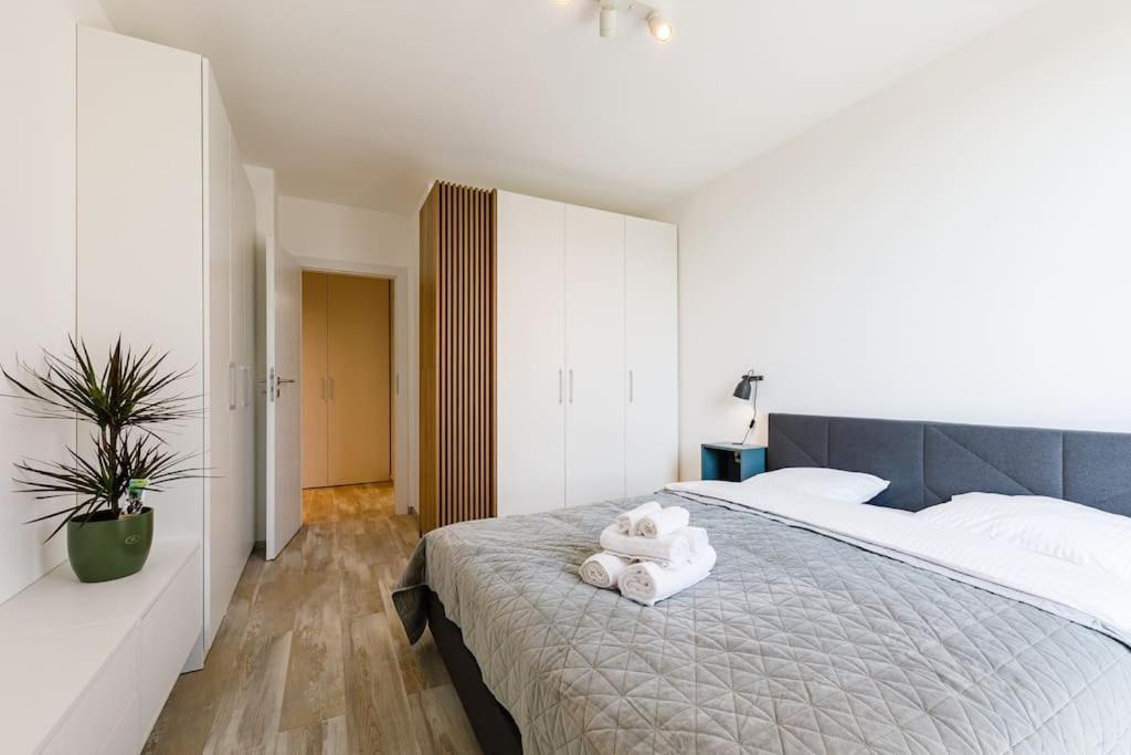 טימישוארה Luxury Apt. Near River & Parking מראה חיצוני תמונה