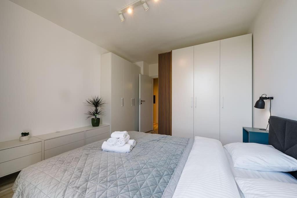 טימישוארה Luxury Apt. Near River & Parking מראה חיצוני תמונה